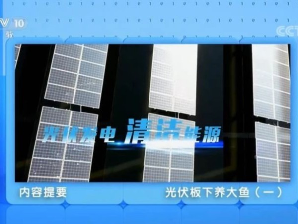 央视科教：太阳能光伏板下可以养大鱼